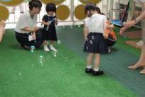トピックス写真
