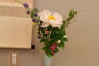 お花は、芍薬（しゃくやく）・仙台萩（せんだいはぎ）・瑞菜（ずいな）・紫蘭（しらん）・箱根卯木（うつぎ）・えにしだ