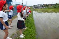 「あ！ツバメさんいたいた！」「こっちにおいしい餌があるよー！」「おいでー。」と、呼びかけました。