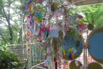 帝塚山幼稚園の大きい笹。飾りもみんなで作ったよ！