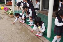 水の中に桜の花びらが浮かんでいるよ。