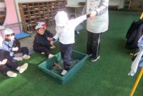 ぺんぼうやになって氷の上を歩いたよ!ペンギンの住む南極の氷に思いを馳せます。